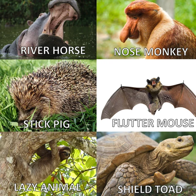 From Stick Pigs to River Horses: A Dive into the Amusing Literalness of Danish Animal Names