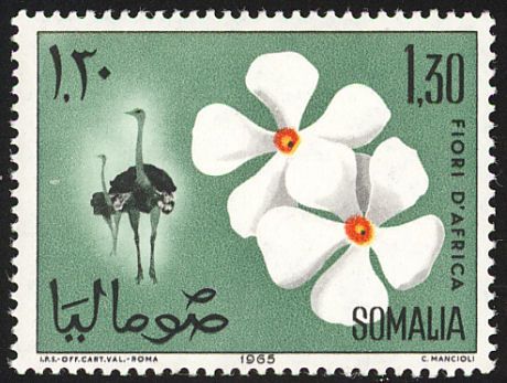 (Attempting) To Master the Art of Code Switching