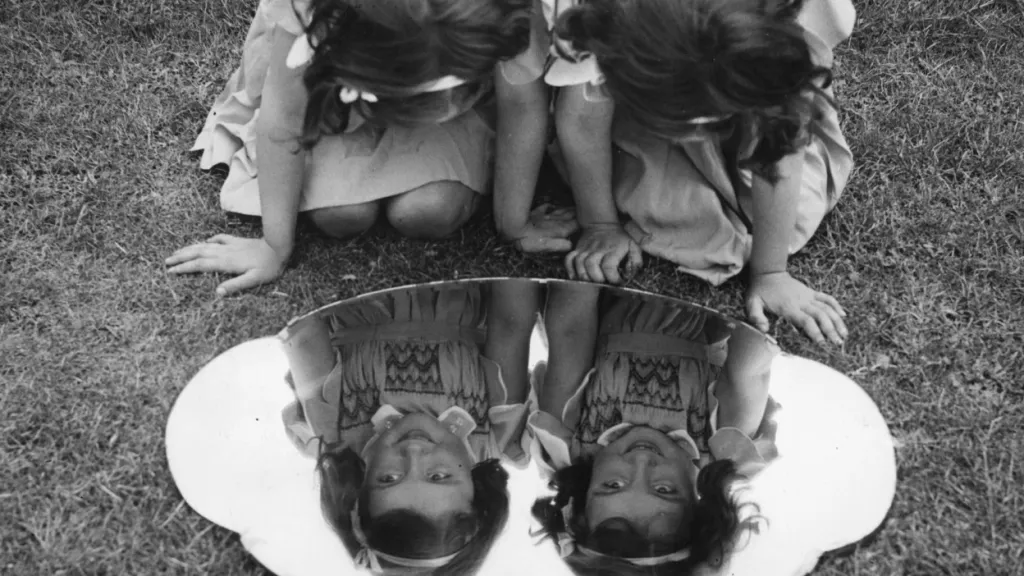 Cryptophasia: the secret language of twins